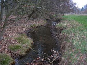 Natürlicher Bachlauf