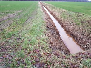 Begradigter Bachlauf
